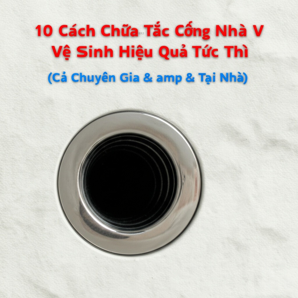 Hình minh họa cho bài viết: 10 Cách Chữa Tắc Cống Nhà Vệ Sinh Hiệu Quả Tức Thì (Cả Chuyên Gia & Tại Nhà)