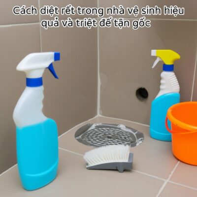 Cách diệt rết trong nhà vệ sinh hiệu quả và triệt để tận gốc