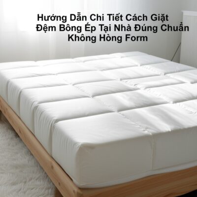 Hướng Dẫn Chi Tiết Cách Giặt Đệm Bông Ép Tại Nhà Đúng Chuẩn, Không Hỏng Form