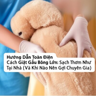 Hướng Dẫn Toàn Diện Cách Giặt Gấu Bông Lớn: Sạch Thơm Như Mới Tại Nhà (Và Khi Nào Nên Gọi Chuyên Gia)